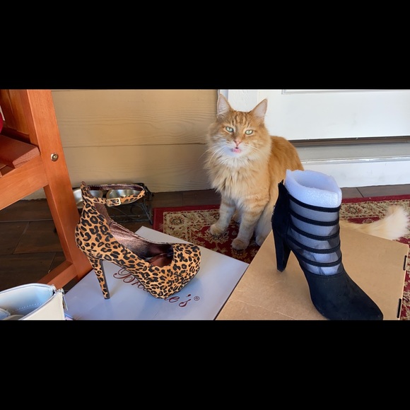 Shoes - Picture 9 of 16